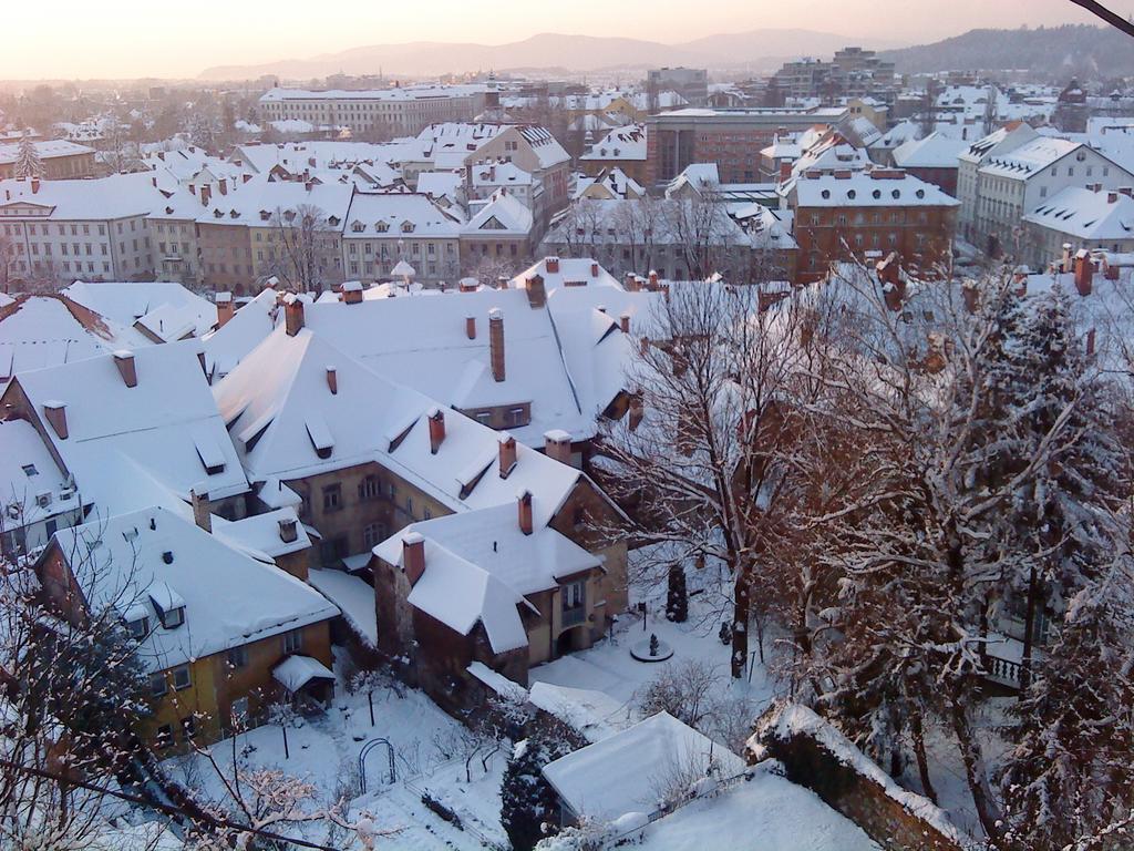 Apartment Tagrajska Любляна Номер фото
